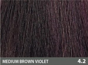 BACO COLOR GLAZE 4.2 60ML