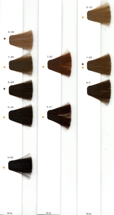 IGORA ROYAL PREM BOOK UPDATE 9/21