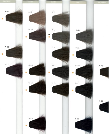 IGORA ROYAL PREMIUM BOOK UPDATE